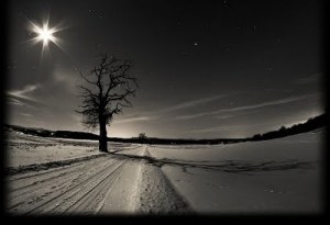 by+gregory+PERRIN+-+2