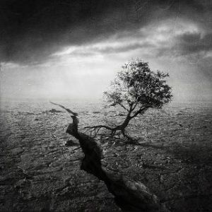 388271_2338030125709_1098545765_1935199_198890805_n