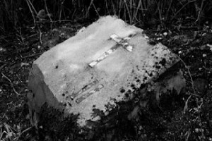 ~~~~~~~~~~~8888888888