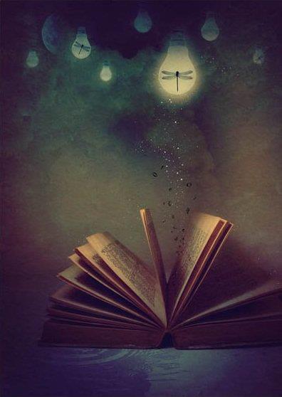 14392_512809425410388_445171420_n