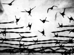 65120_555431054470581_864964868_n