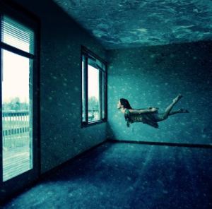 388937_3787665374816_1469514795_n