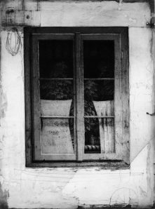 541891_517615858271075_1241786028_n