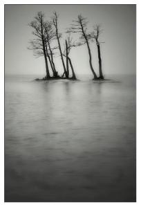 9203_503368563029138_1483655090_n