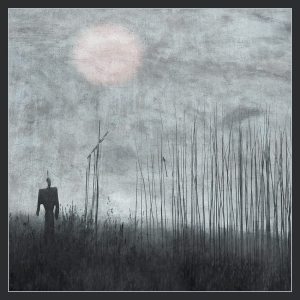 230107_221870844612561_142570569_n