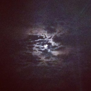 you_are_the_moon_1_by_blue_eyed_raccoon-d4iv635