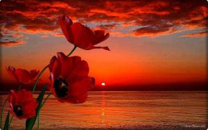 561482_497198100317738_819704363_n