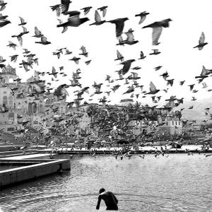 59940_4076203586428_97333285_n