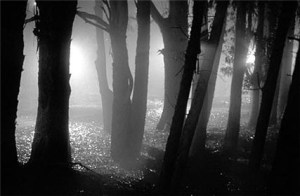 162642-%CF%83%CE%BA%CE%B9%CE%B5%CF%82