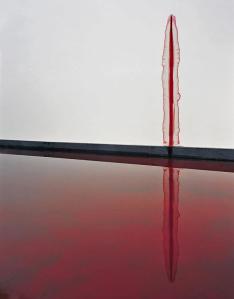 387405_4399762193871_120617601_n