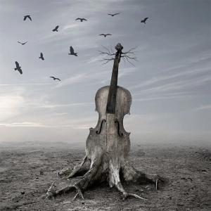 480780_2961964904369_245398639_n