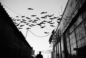 549826_567770126580447_58510893_n