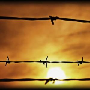 553378_340595539341898_1504133905_n