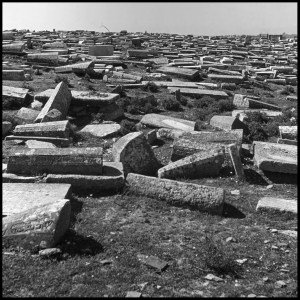 edited and resized for web use