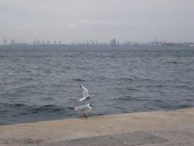 200339_170488983000905_5612522_n