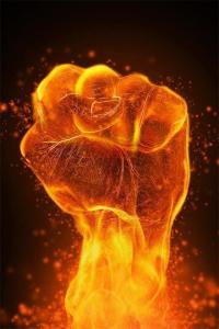 295340_445067302254179_1459620074_n