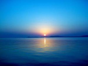 421068_313470125384120_100001634047392_911126_761905694_n