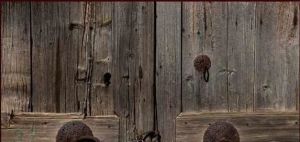 530940_113777102121430_1184086997_n