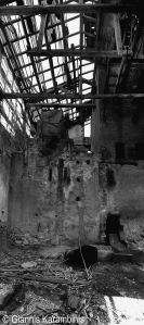 936569_4434929846497_1859555231_n