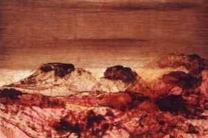 nolan_sidney-centralbungle