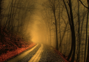 00+BAJO+TU+CLARA+SOMBRA