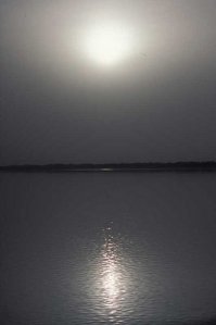 2682266532_530006de62