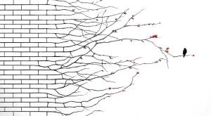 408401_569832263051256_1767456179_n