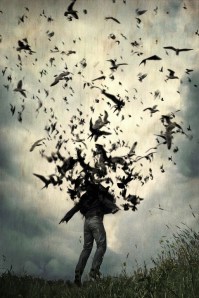 971117_10200135976223814_167914633_n