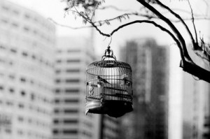 tumblr_m6d0bj4mpn1r0662ho1_400