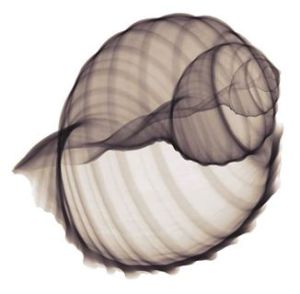 1240464_10200573100465498_658860507_n