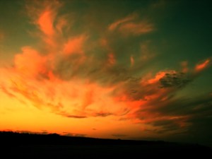 2506478643_4e53e08285_o