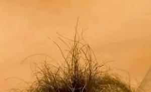 393964_406547082728556_147169361_n