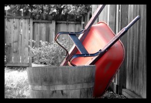 430093929_c7b50df955