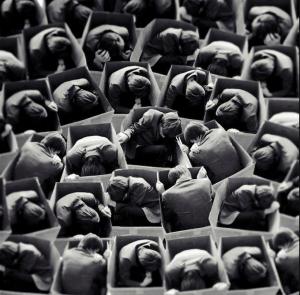 945512_473247986083521_777399611_n