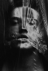 999095_408384592600433_204656886_n