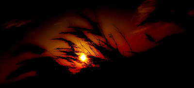 0826f4507917baabfb1e9f56b32524fb