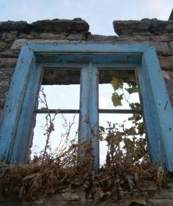 1374223_10151920070849540_1102544228_n