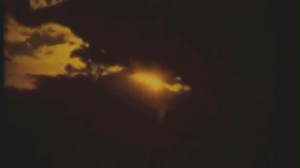 1252653845_1375497811