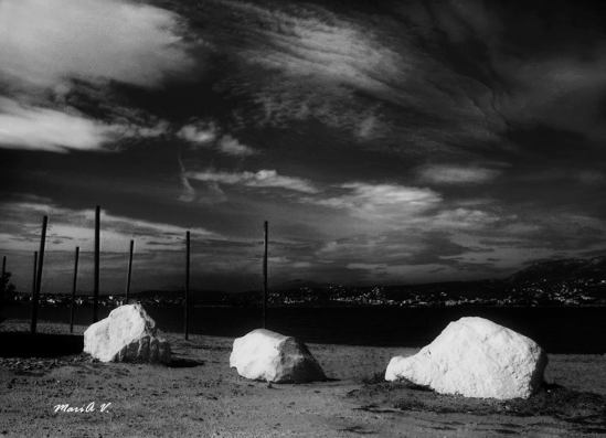 1381926_546639155405871_482353387_n