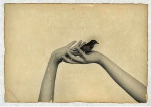 Δουλειά του Masao Yamamoto