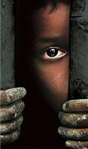 1176318_441384889309792_829536678_n