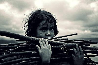 1380563_474987375952791_1657951135_n