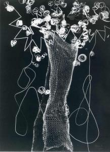 Man Ray, Rayogramme (1926)