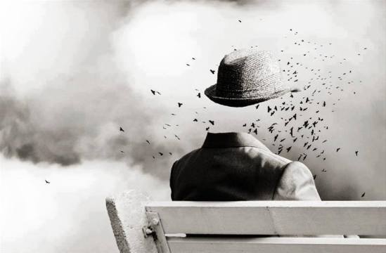 1385280_238275499662625_888394574_n