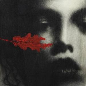 556832_236476363174574_1556758435_n