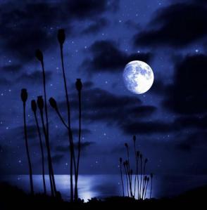 9655_497509233617115_248137448_n