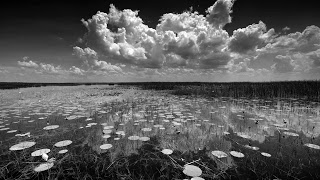 BUTCHER_lake-kissimmee-1