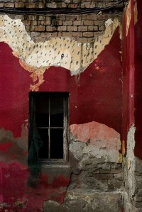 1452548_10200954212839218_907045572_n