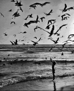 946066_603051153065085_2069905430_n