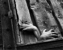 1460118_587583211315347_326155538_n